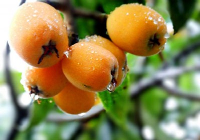 ͩ�����˘������l��ͩ�����˘��������ͩ�����˘������c