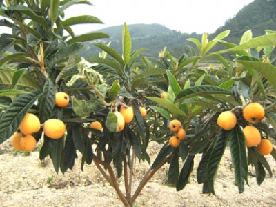 �������˘��繩�����������˘������l���������˘������