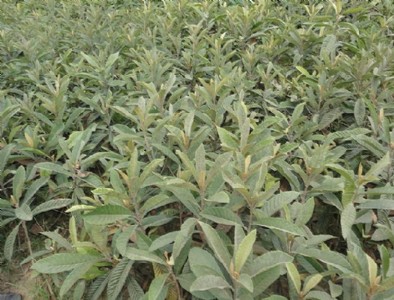 ������˘��繩��(y��ng)��������˘������l(f��)��������˘������