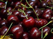 üɽ܇�����繩����üɽ܇���������l��üɽ܇���������