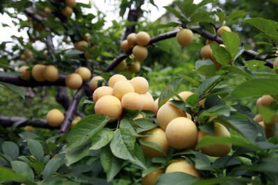 �ؑc���������c(di��n)���ؑc������r(ji��)���ؑc������Nֲ���g(sh��)