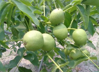 �V����������繩��