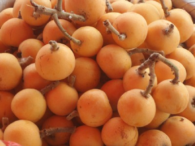 �ؑc���˘���Ʒ�N