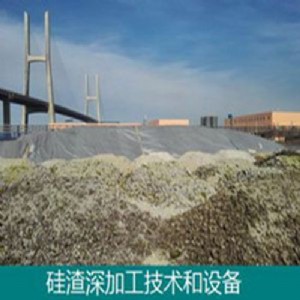 ���I������ӹ����g���O��