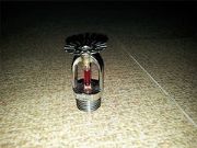 ��(d��ng)������������Ĉ�(b��o)�r(ji��)    ���������ăr(ji��)��