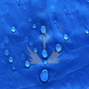 ��ӏS������ ����A����