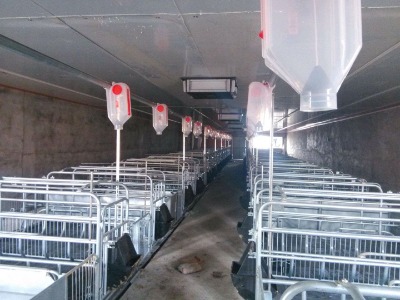 ���������i���Ԅӻ��Ͼ� ĸ�i��λ�� ĸ�i���w��λ��