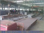 SA387Cr22CL2/SA387Cr11����偠t��