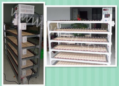 �B�T�ϻ����ϻ�܇