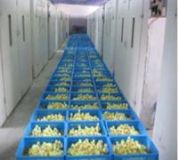 �����Z��r��|�����Z������Xһֻ��(�D)