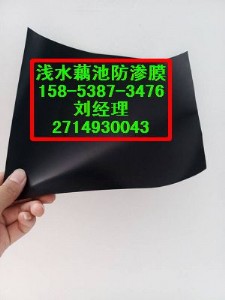 �ػʍu����(y��ng)���ӵ����B����Ĥ400g�ɲ�һĤ�r��