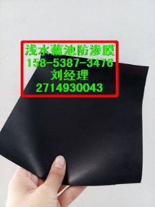 �������ݡ�ˮ�a�Bֳ0.5mm���BĤ�r��