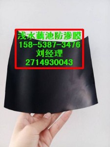 �������ݣ��\ˮź�ط��BĤ}�����������z��