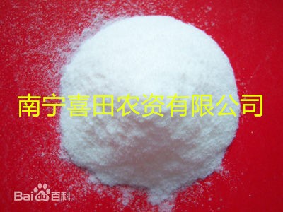 ���ϰ�̿��   ���ݰ�̿��   �V����̿��