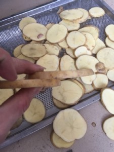 �}��������Ƭ�C�S�ҡ�����ɏź��Ƭ�C����ˎ����Ƭ�C�DƬ