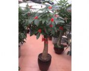 �����͵Ĉ@���OӋ���]��贾G������|�@�־��^�OӋ�����X