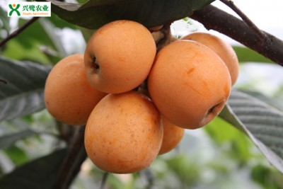 ��������������أ�������������Ʒ�N��������������r��