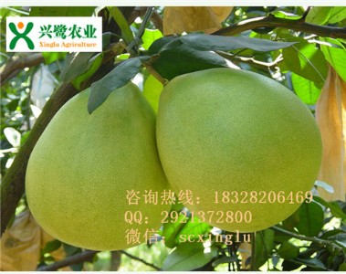 �������������l��������������ُ���������������