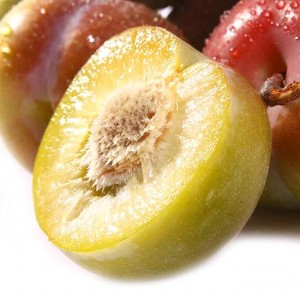 �Ĵ���t������a������t�����繩����������r��