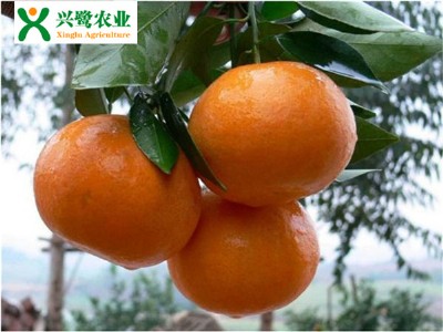 �ؑc������r�񣬸�����Nֲ���g(sh��)���ؑc���������