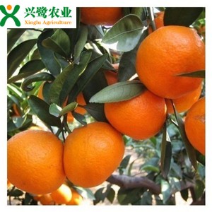 ��������أ��ؑc������޽ӣ��ؑc������r��