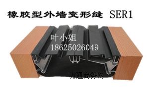 �≦����׃�οp����s�pSER1���zǶƽ��