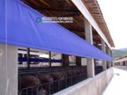 ��ɽ�i����������-�Bֳ�����Cе-��������ӹ��S