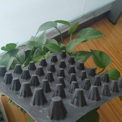 ����������ˮ��r�� ����ˮ�����a�S��-ֱ�N����