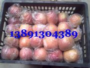 2017�������Ĥ���t��ʿ�O���a(ch��n)�����l(f��)�r��