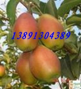 ������t������r��t������a�؎젖�������l����