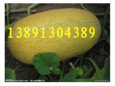 ������ܹσr��������ܹ�����������ܹϻ���������ܹϮa(ch��n)��