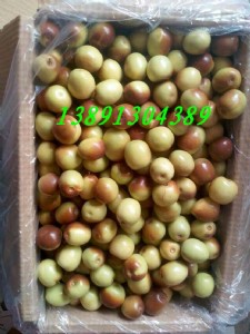 ��������r��������ﶬ�����l�������鶬���a�ض���