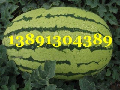 ���������5���Ϯa�����Ѓr��