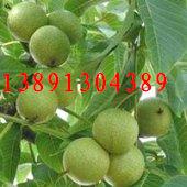 ������һ�����Ƥ���Үa(ch��n)��