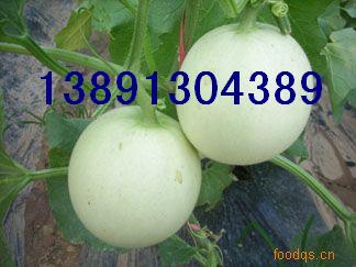 ���������ϻ������������σr��������������l�t������Ϯa��(�D)