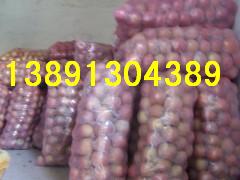 ��������O�����ؼt��ʿ�O���a�طۼtŮʿ�O�����黨���O���r��