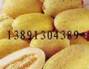 ���l(f��)���ܹ�/���ܹϻ���/������ܹσr��/���ܹ�����