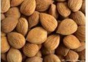 ����������߰Amygdalin(�D)