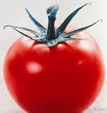 ���Ѽt��Lycopene(�D)