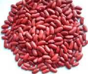 ����Ӣ���t�|���N��(�D)