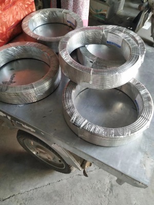 hs113gⒻ����z