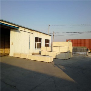 ʲô��lvlľ�� �c��(sh��)ľľ���^(q��)�e