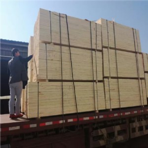 lvl���� ���ڏ��Ⱥõ���Ѭ��ľ��