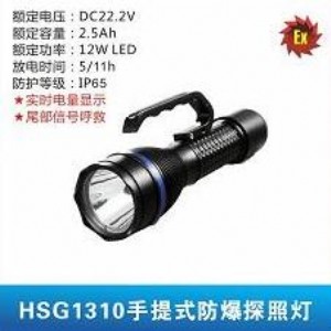 hsg1310����ʽ����̽�՟�