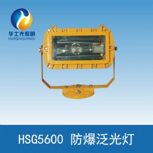 �Aʿ��hsg5600����������ⷺ���