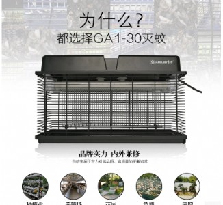 ���ß��ĺ�̎