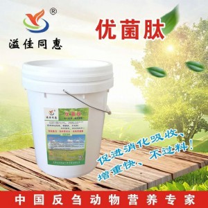 ��ιʲô�ܿ����L���L��