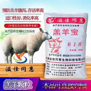 ����ιʲô���Ӹ����w��