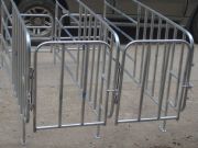 �ҼҺ��ӟ���\䓹��B(y��ng)�i�O��ĸ�i��λ��ĸ�i��λ��