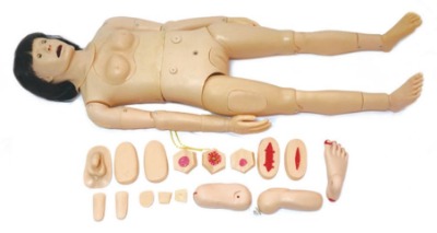 ���t�W�߼�ȫ�����o����Ӗ��ģ�ͣ�Ů�ԣ�